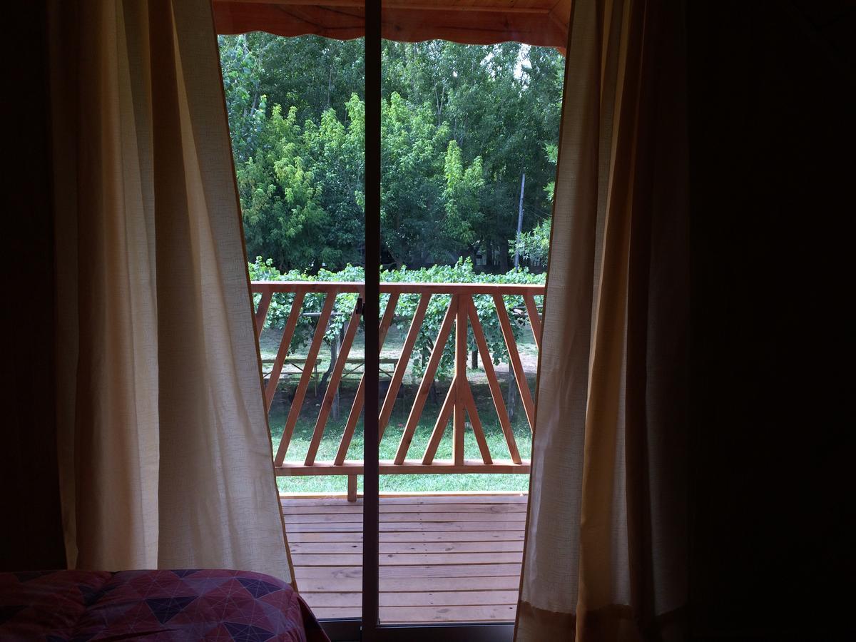 Camping & Hospedaje Rio Laja El Manzano  エクステリア 写真